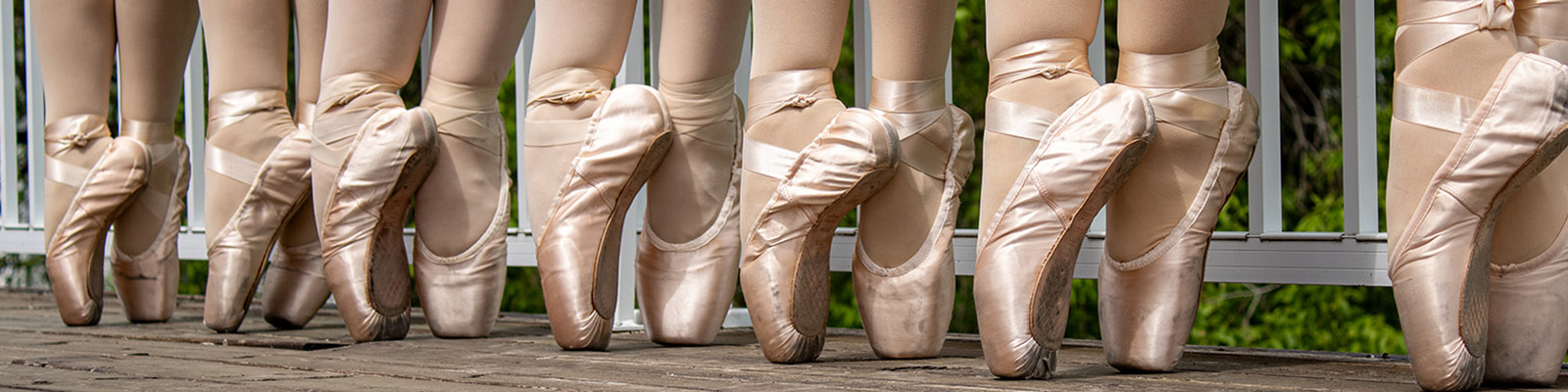Stoney Brook Dance Company